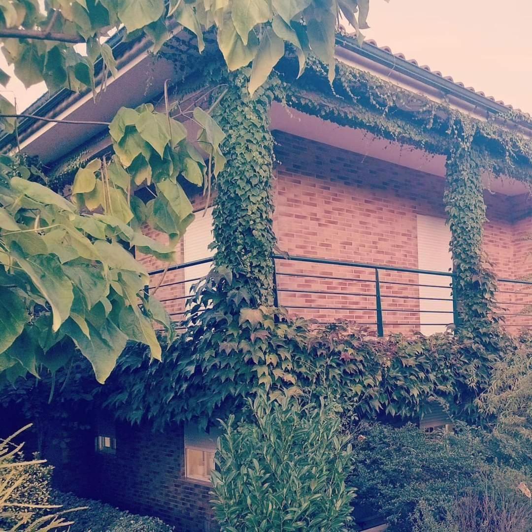 Casa Campo Ao Rio_Village Barcelos Exterior photo